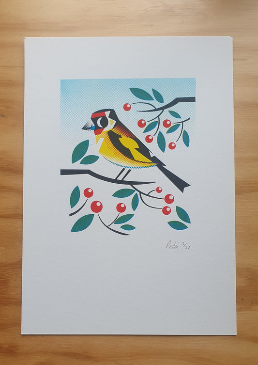 Goldfinch - A4 5 colour screenprint - by Peski Studio