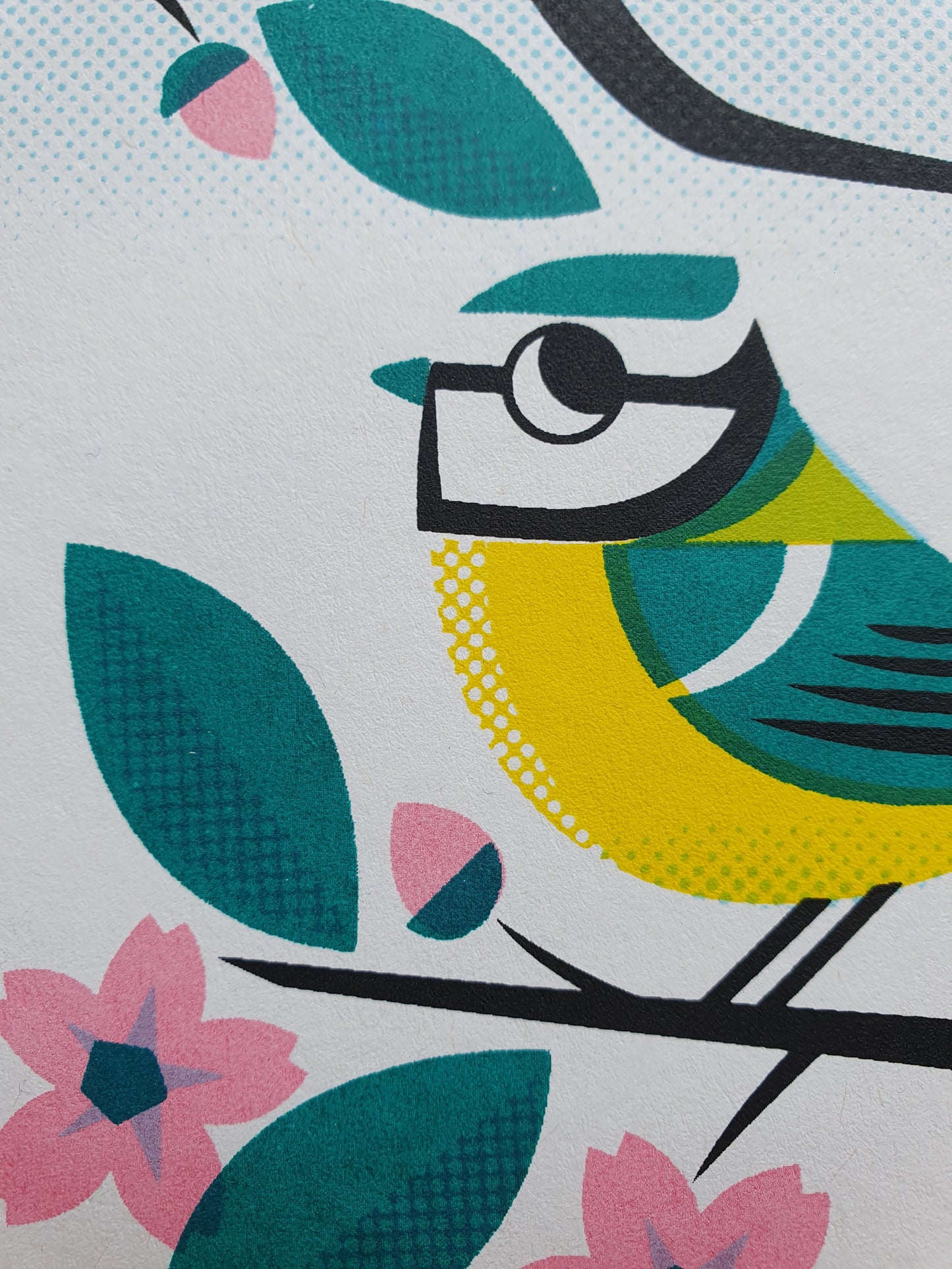 Bluetits - A4 5 colour screenprint - by Peski Studio