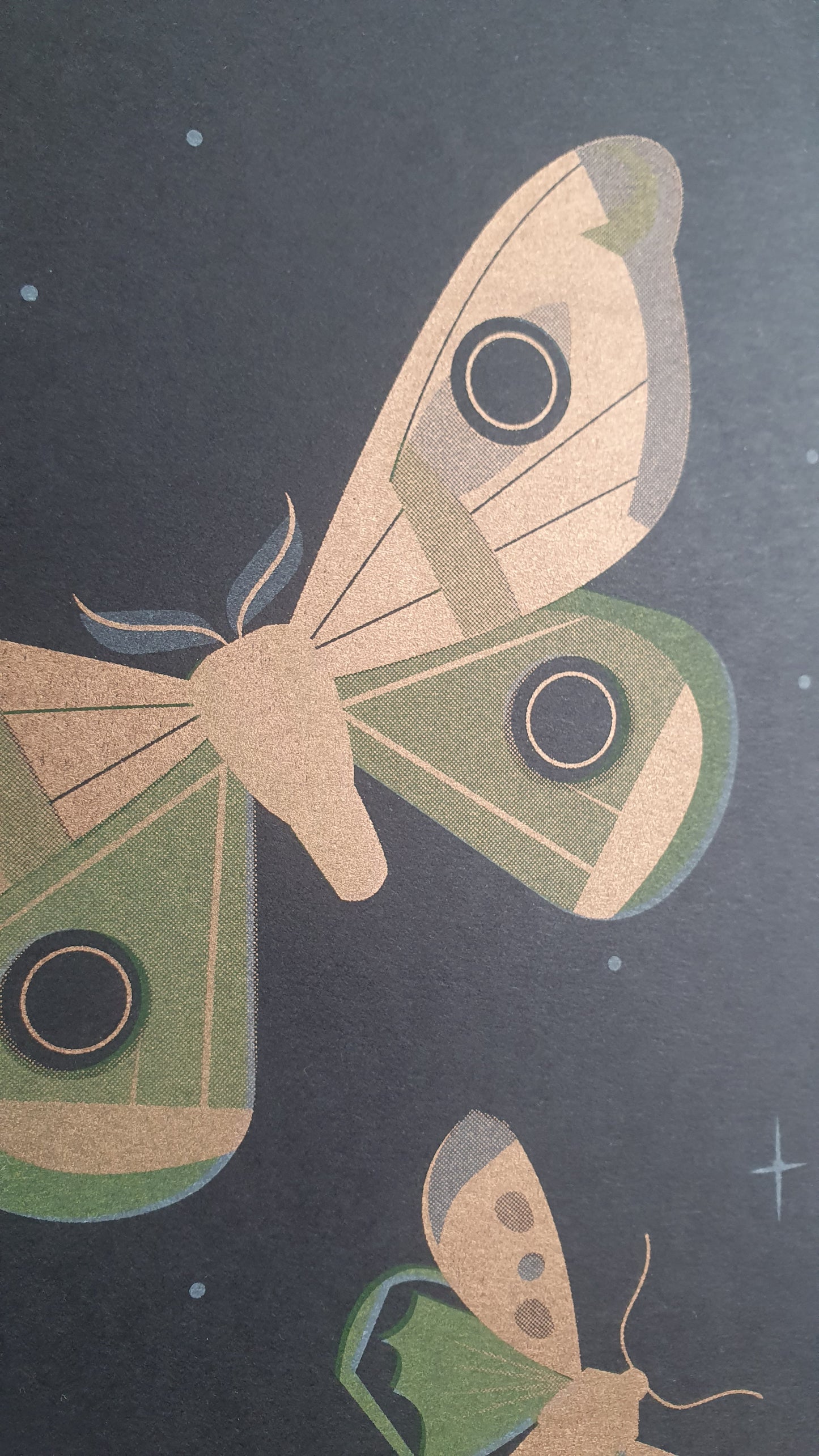 Beautiful Moths - A3 RISO print by Peski Studio