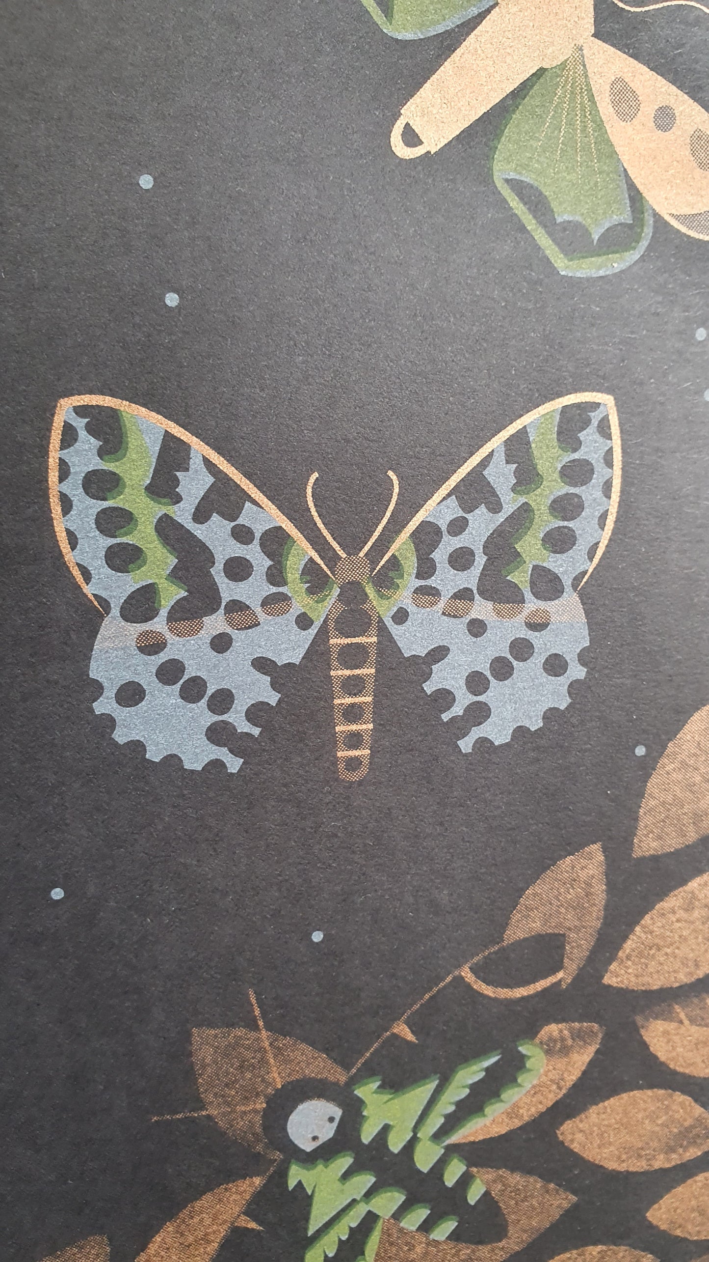 Beautiful Moths - A3 RISO print by Peski Studio