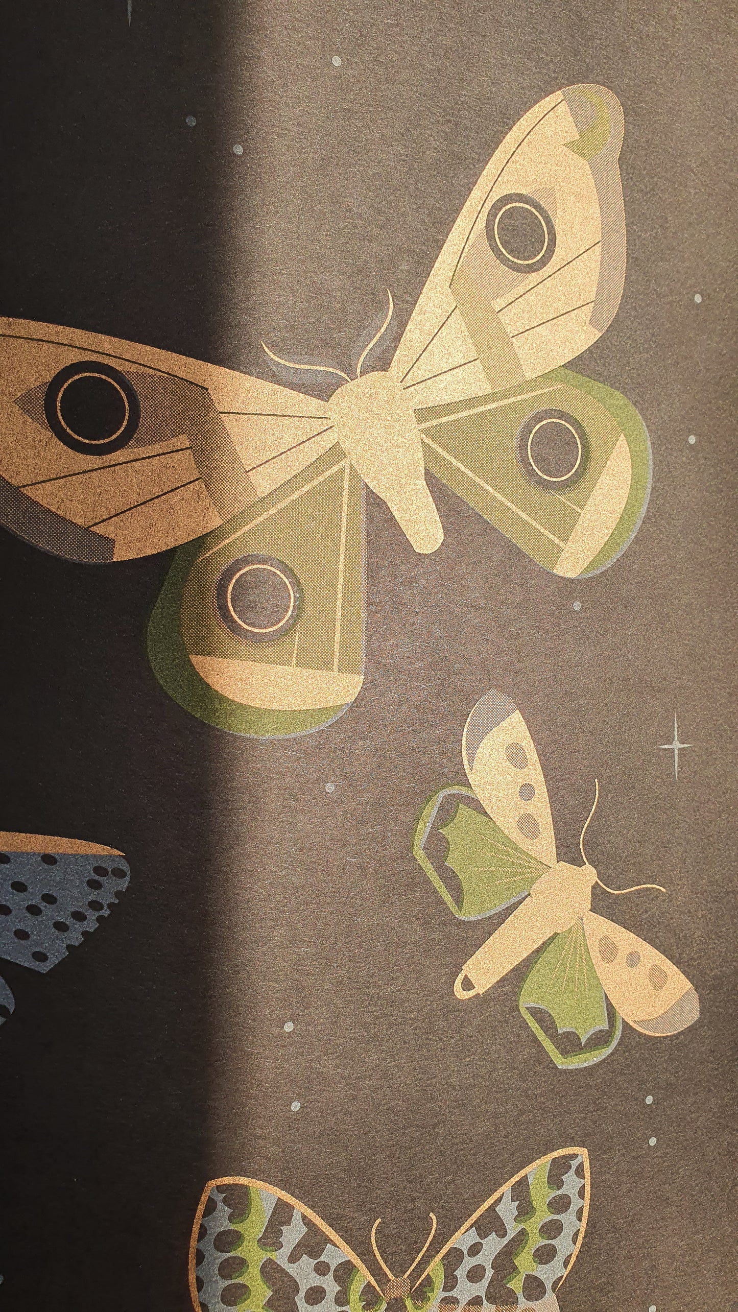 Beautiful Moths - A3 RISO print by Peski Studio