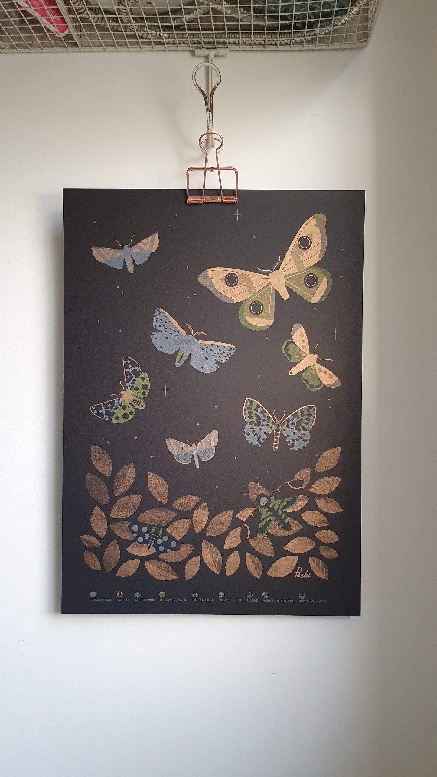 Beautiful Moths - A3 RISO print by Peski Studio