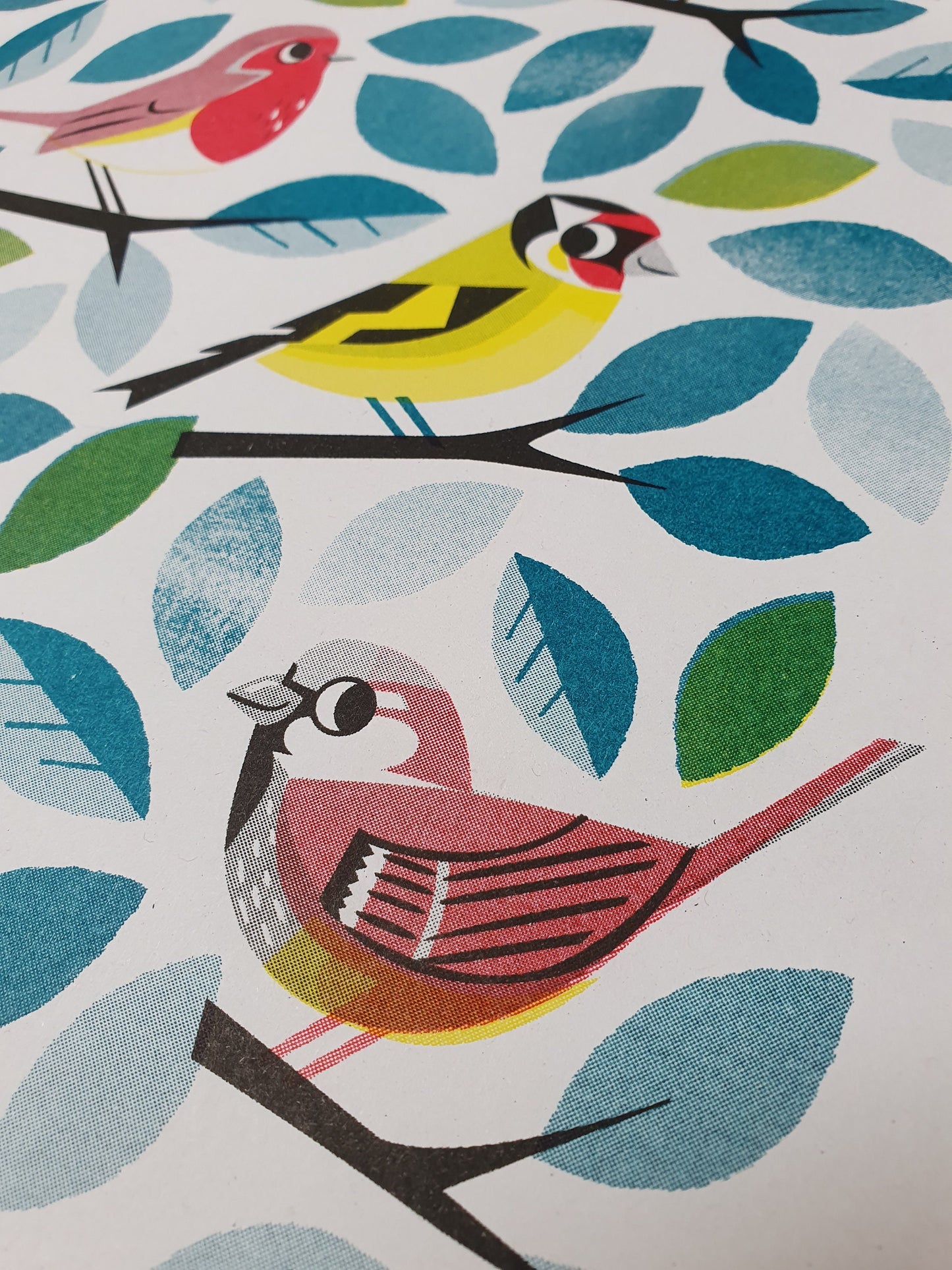 Garden Birds - A3 RISO print by Peski Studio