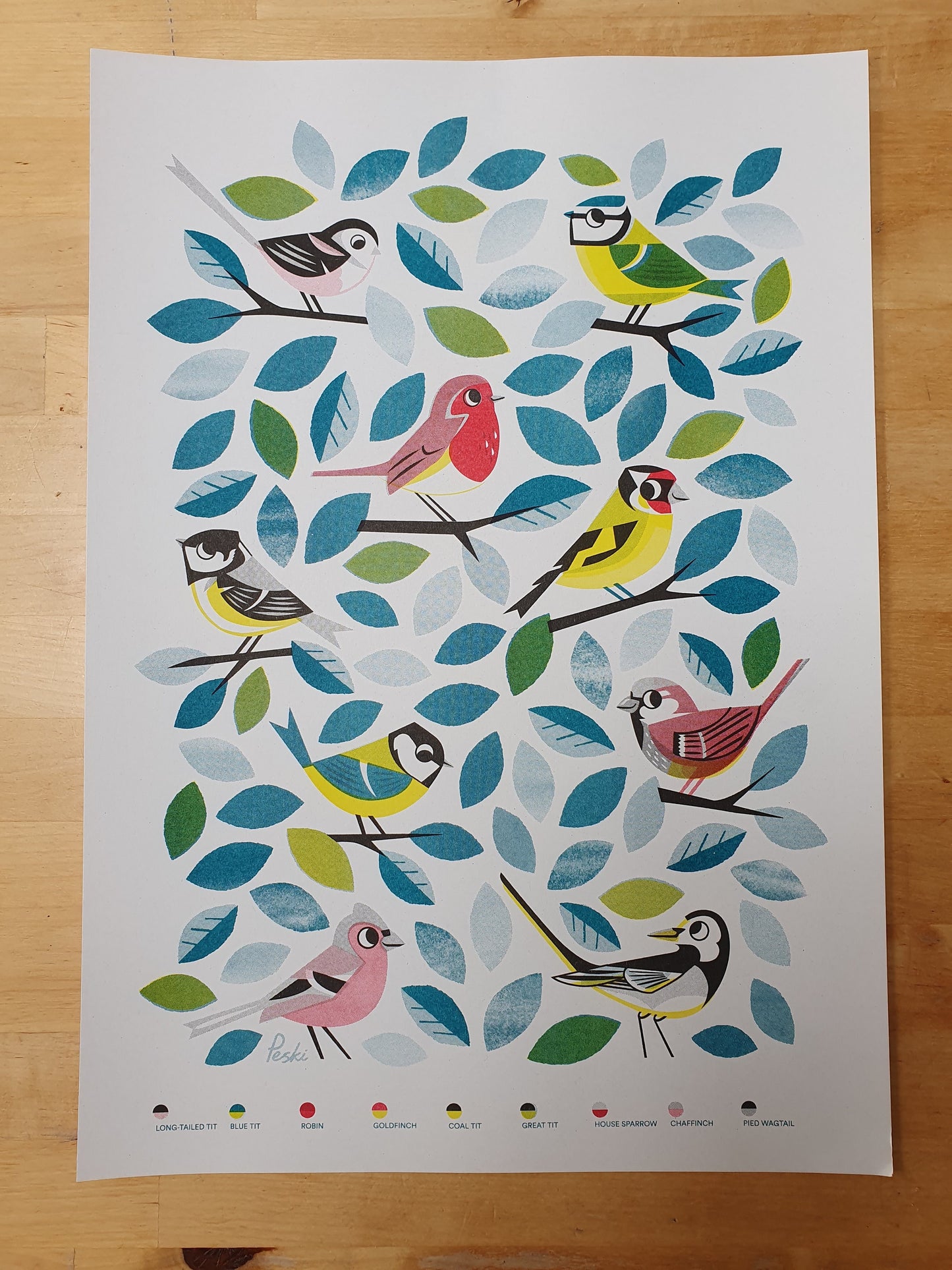 Garden Birds - A3 RISO print by Peski Studio