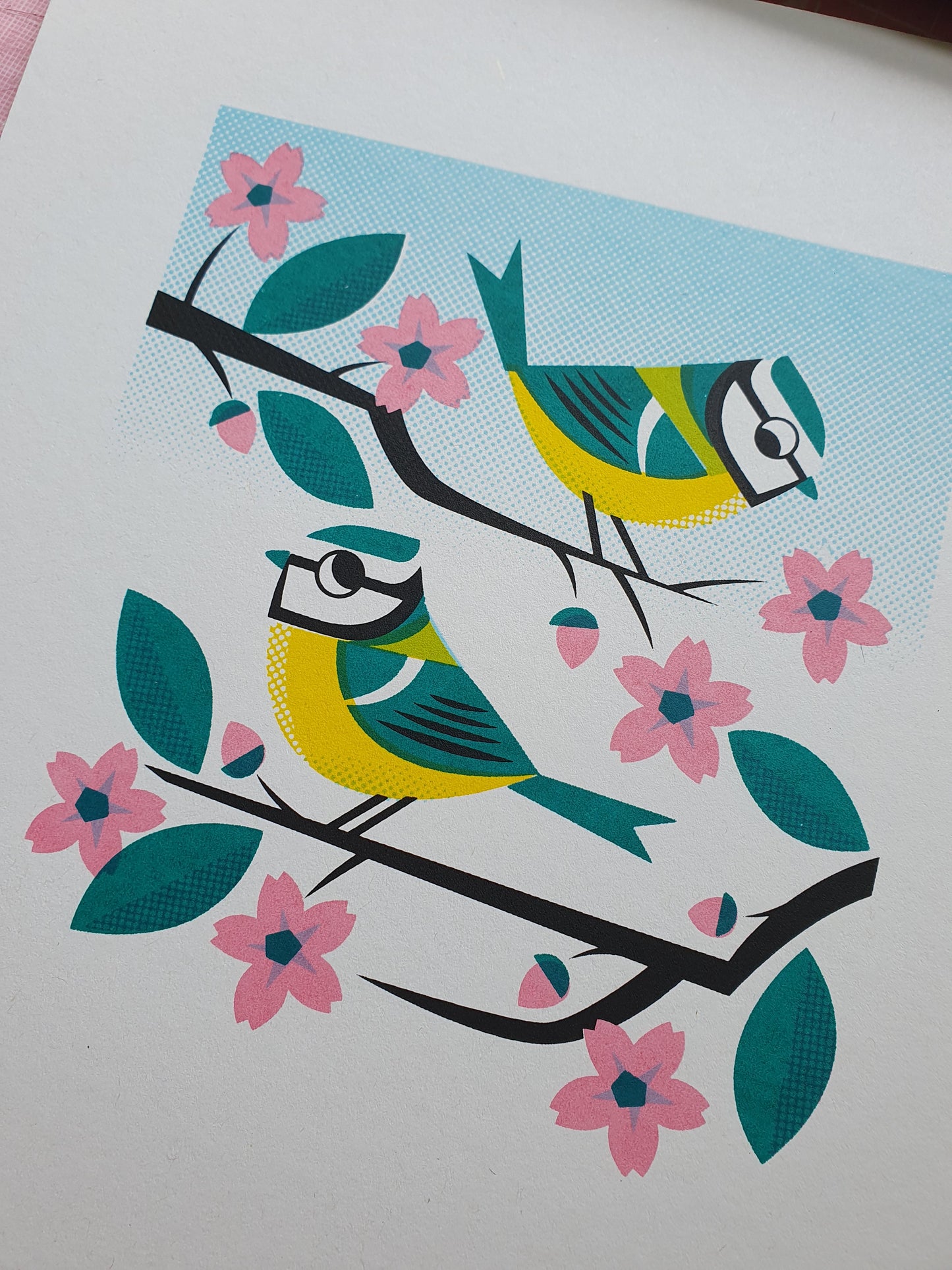 Bluetits - A4 5 colour screenprint - by Peski Studio