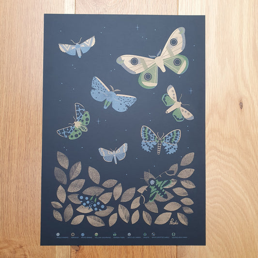 Beautiful Moths - A3 RISO print by Peski Studio