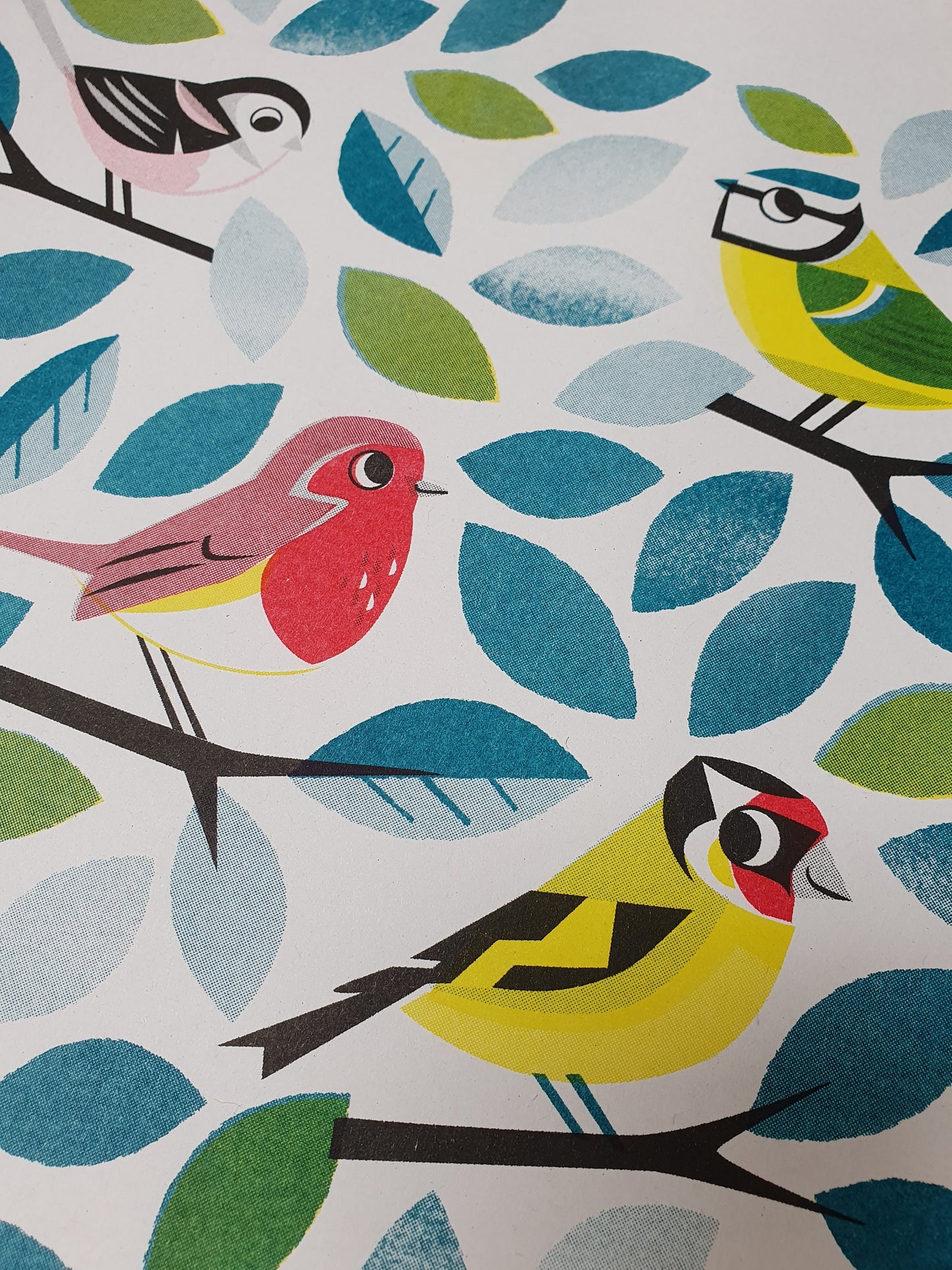 Garden Birds - A3 RISO print by Peski Studio